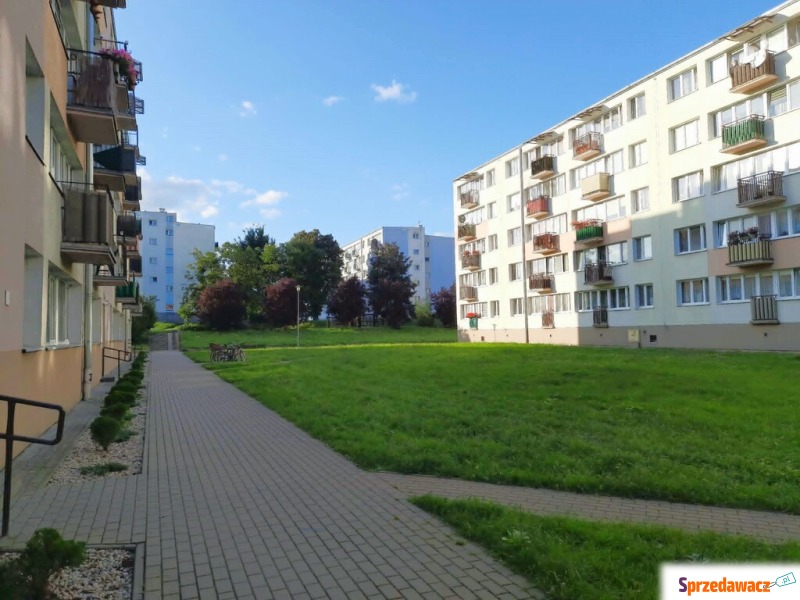 Mieszkanie dwupokojowe Grudziądz,   36 m2 - Sprzedam