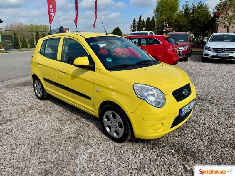 Kia Picanto  Hatchback 2009,  1.1 benzyna - Na sprzedaż za 7 999,00 zł - Szerominek