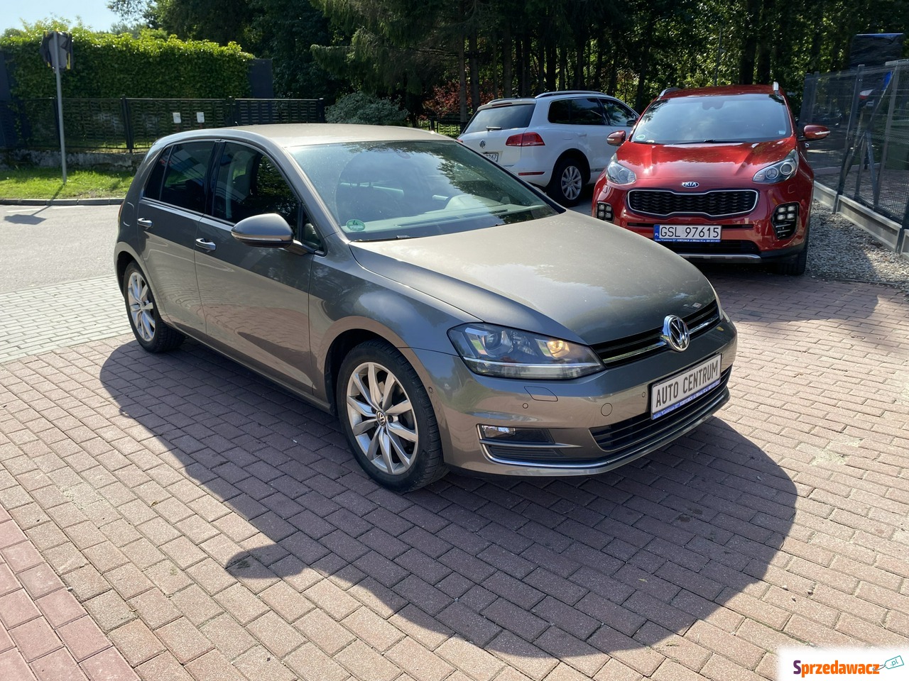 Volkswagen Golf 2013