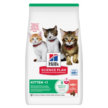 Hill's Science Plan Kitten <1, łosoś - 2 x 7 kg