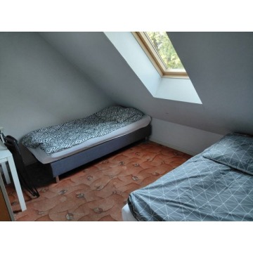 Lokal na wynajem - Lokale użytkowe do w... - Fabianów - zdjęcie 2