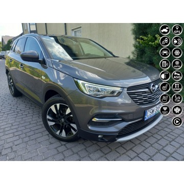 Opel Grandland X - Skóry Navi Kamera El.Klapa Wentylowane Grzane Fotele 100%Bezwypadkowy