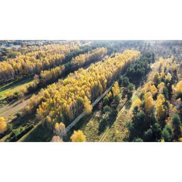 Działka Częstochowa - Mirów sprzedam, pow. 901 m2  (9a), uzbrojona - zdjęcie 3