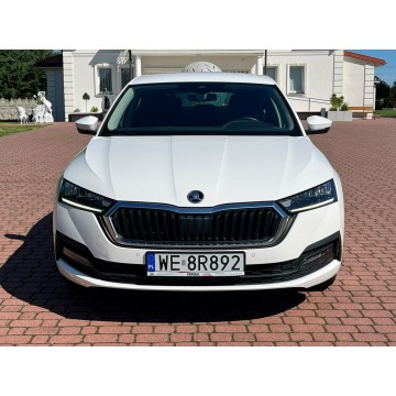 Skoda Octavia  Liftback 2023,  1.5 benzyna, automat - Na sprzedaż za 75 891 zł - Nowe Iganie - zdjęcie 8