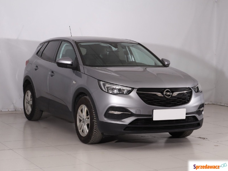 Opel   SUV 2021,  1.2 benzyna, automat - Na sprzedaż za 59 999 zł - Gorzów Wielkopolski