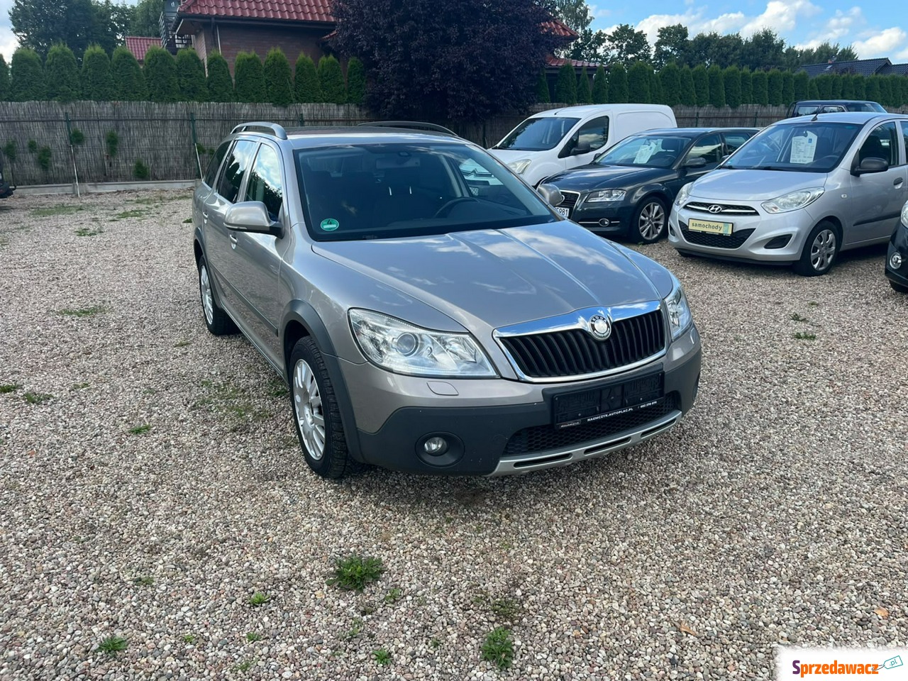 Škoda Octavia - Skoda Octavia...
