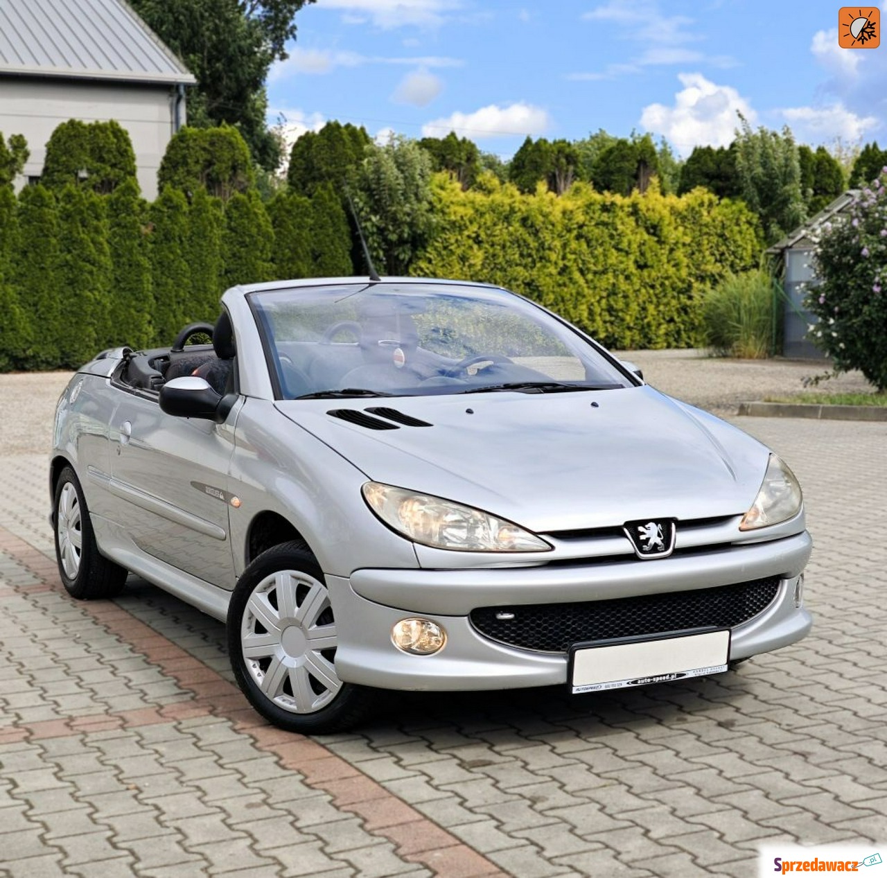 Peugeot 206 CC 2004