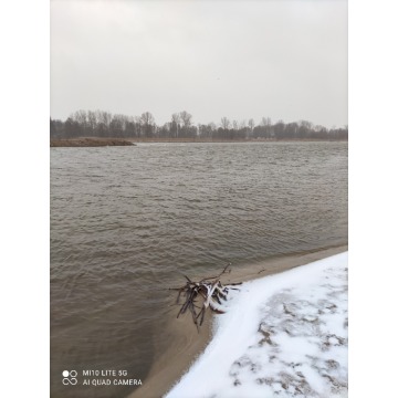 Sprzedam dom Kania Polska -  wolnostojący parterowy,  pow.  80 m2,  działka:   1420 m2 - zdjęcie 4