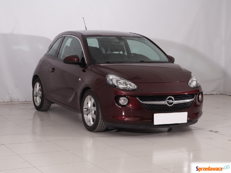 Opel Adam  Hatchback 2014,  1.2 benzyna - Na sprzedaż za 21 999 zł - Tarnowskie Góry