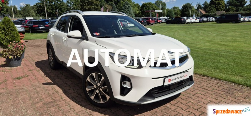 Kia Stonic  Hatchback 2019,  1.4 benzyna, automat - Na sprzedaż za 51 800 zł - Paproć