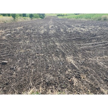 Działka rolna Luborzyca sprzedam, pow. 10 000 m2  (1ha) - zdjęcie 2