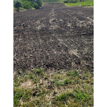 Działka rolna Luborzyca sprzedam, pow. 10 000 m2  (1ha) - zdjęcie 1