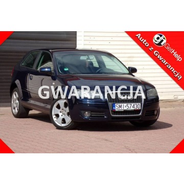 Audi A3  Hatchback 2007,  1.9 diesel - Na sprzedaż za 13 900 zł - Mikołów - zdjęcie 1