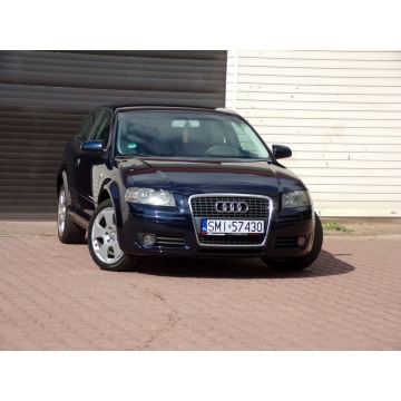 Audi A3  Hatchback 2007,  1.9 diesel - Na sprzedaż za 13 900 zł - Mikołów - zdjęcie 2