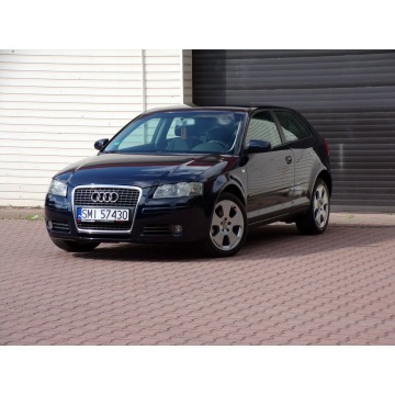 Audi A3  Hatchback 2007,  1.9 diesel - Na sprzedaż za 13 900 zł - Mikołów - zdjęcie 5