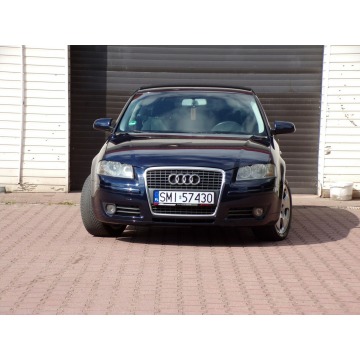 Audi A3  Hatchback 2007,  1.9 diesel - Na sprzedaż za 13 900 zł - Mikołów - zdjęcie 3