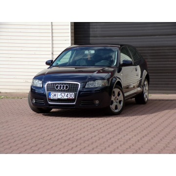 Audi A3  Hatchback 2007,  1.9 diesel - Na sprzedaż za 13 900 zł - Mikołów - zdjęcie 4
