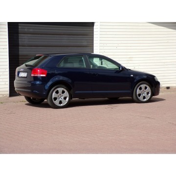 Audi A3  Hatchback 2007,  1.9 diesel - Na sprzedaż za 13 900 zł - Mikołów - zdjęcie 9