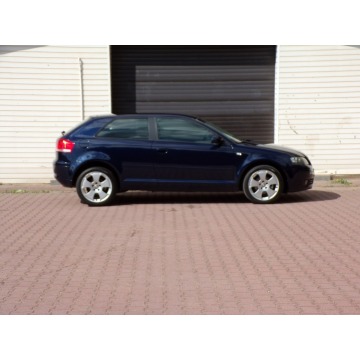 Audi A3  Hatchback 2007,  1.9 diesel - Na sprzedaż za 13 900 zł - Mikołów - zdjęcie 10