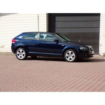 Audi A3  Hatchback 2007,  1.9 diesel - Na sprzedaż za 13 900 zł - Mikołów - zdjęcie 11