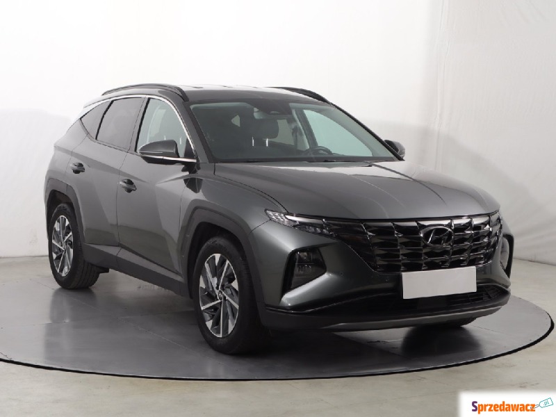 Hyundai Tucson  SUV 2023,  1.6 benzyna, automat - Na sprzedaż za 99 499 zł - Katowice