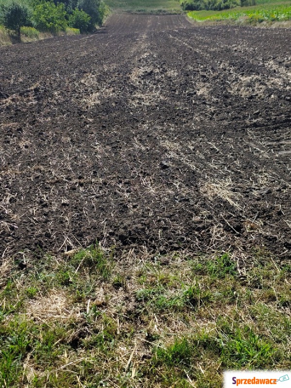 Działka rolna Luborzyca sprzedam, pow. 10 000 m2  (1ha)
