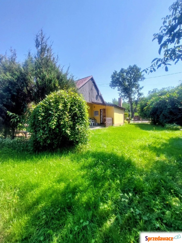Mieszkanie trzypokojowe Andrespol,   57 m2, parter - Sprzedam