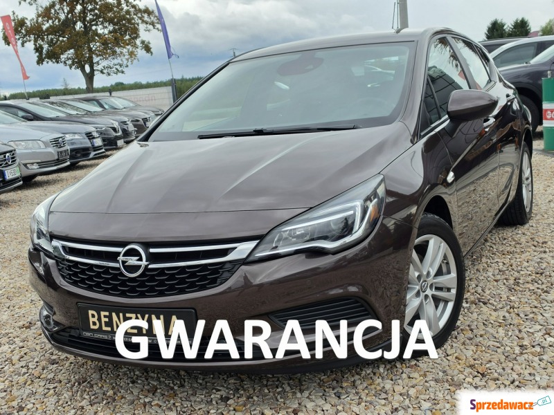 Opel Astra  Hatchback 2017,  1.4 benzyna - Na sprzedaż za 39 999 zł - Nowe Sójki