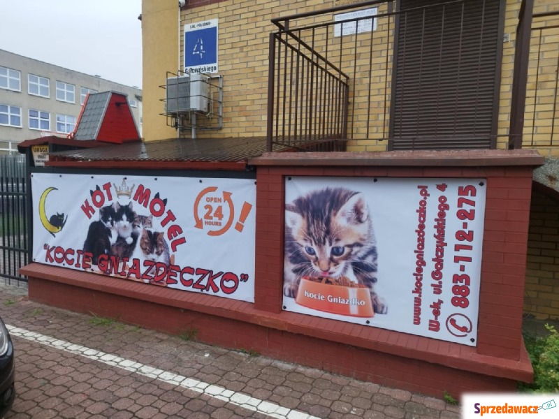 Sprzedam Lokal Użytkowy - Lokale użytkowe na s... - Włocławek