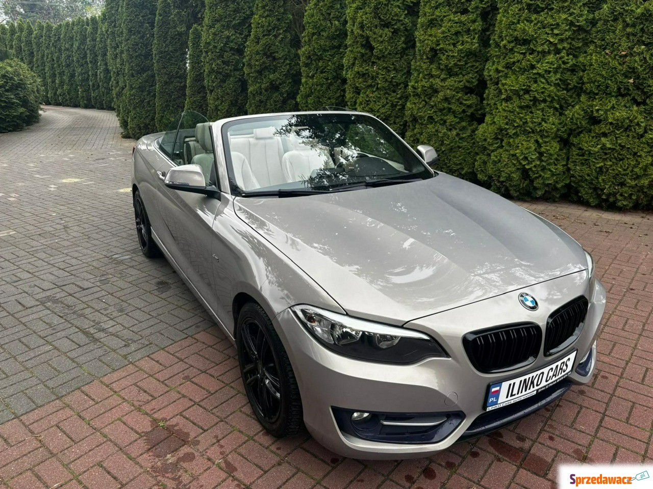 BMW Seria 2 2015