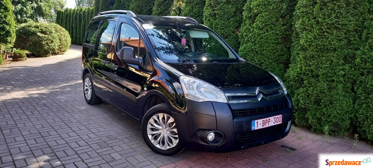 Citroen Berlingo 2012