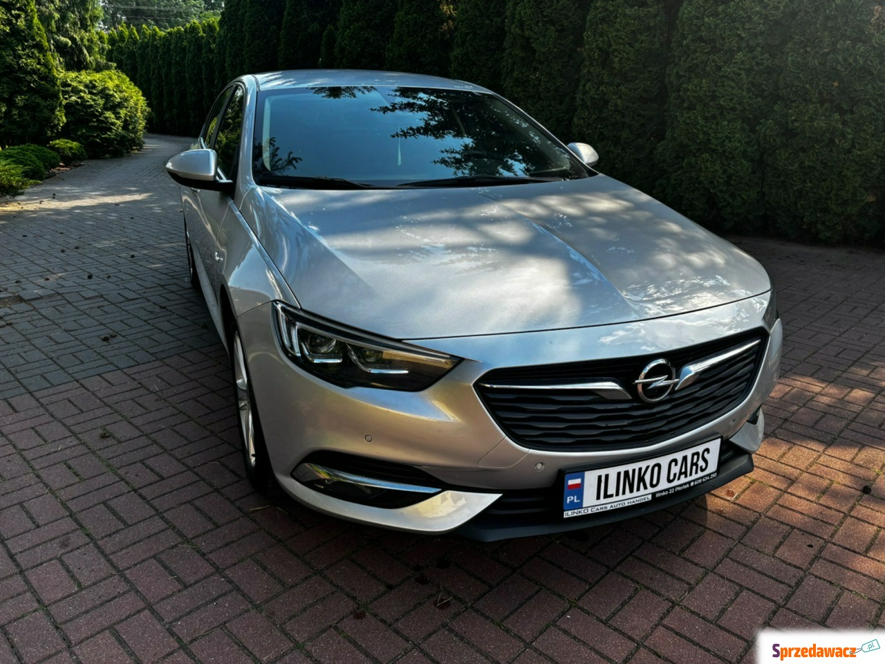 Opel Insignia 2019