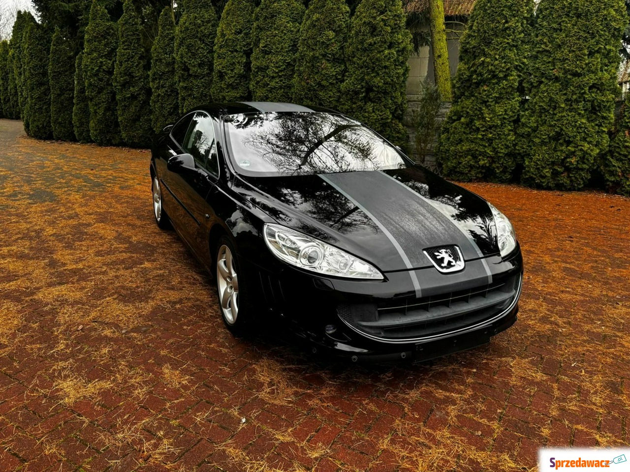 Peugeot 407 2011