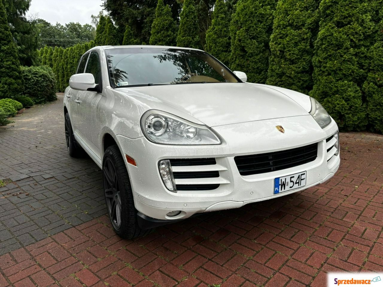 Porsche 718 Cayman - Klima navi