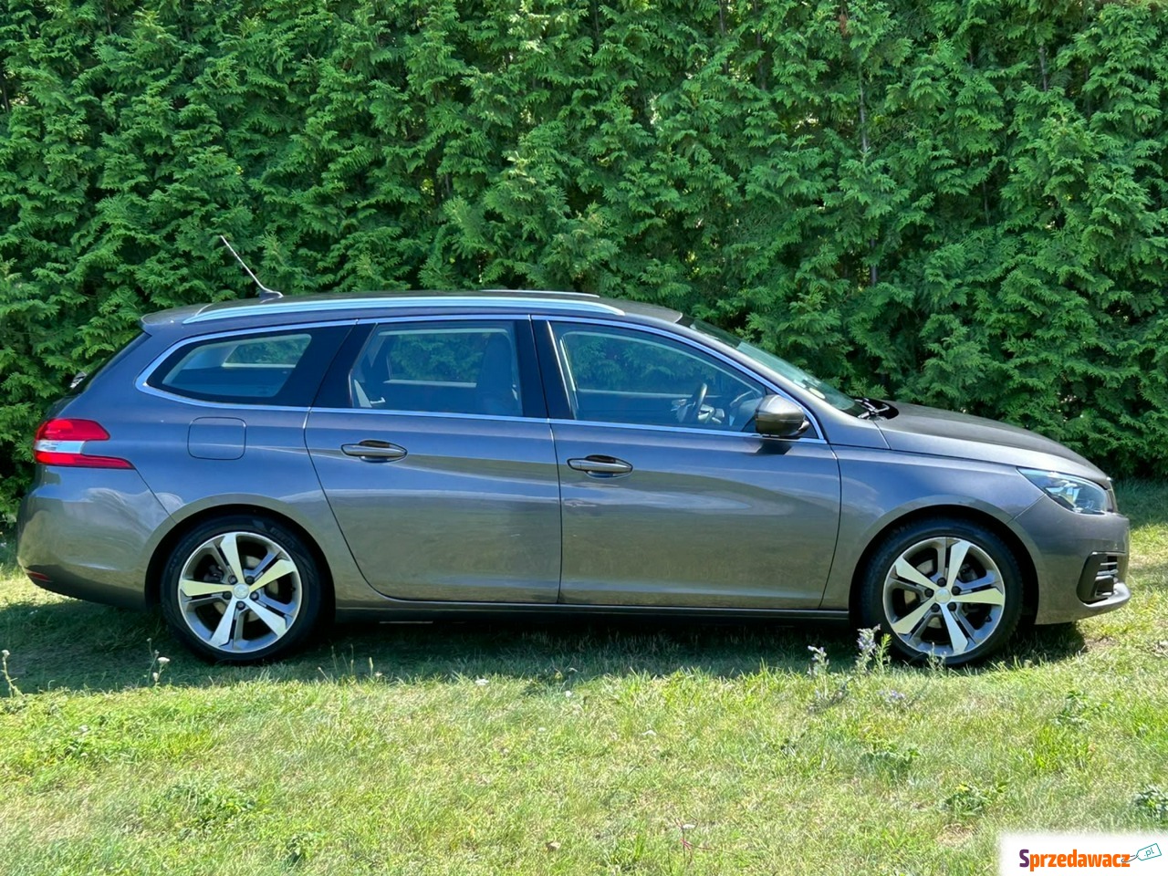 Peugeot 308 2019