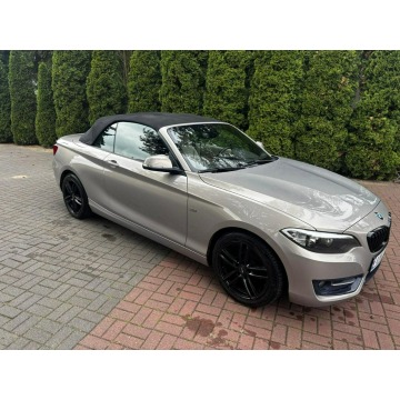 BMW Seria 2  Kabriolet 2015,  2.0 diesel - Na sprzedaż za 52 900 zł - Płońsk - zdjęcie 2
