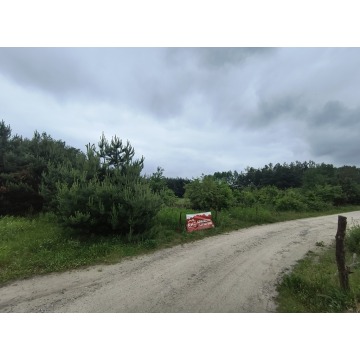 Działka budowlana Żdżary sprzedam, pow. 1500 m2  (15a) - zdjęcie 4