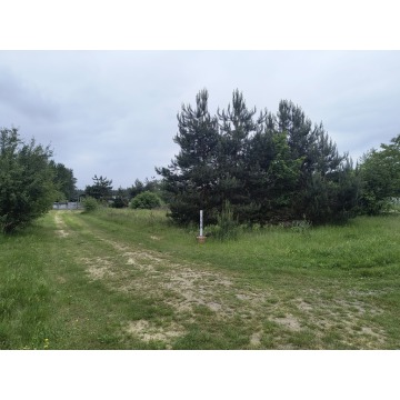 Działka budowlana Żdżary sprzedam, pow. 1500 m2  (15a) - zdjęcie 3