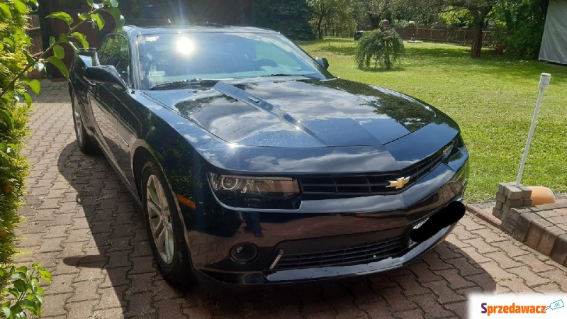 Chevrolet Camaro  Coupe/Sportowy 2014,  3.6 benzyna - Na sprzedaż za 46 999 zł - Brzesko