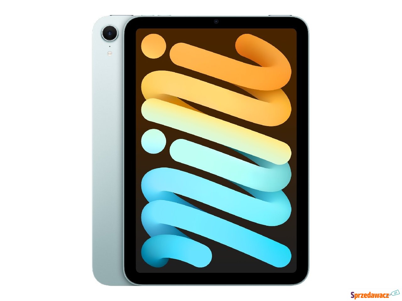 iPad mini Wi-Fi 256GB - Blue