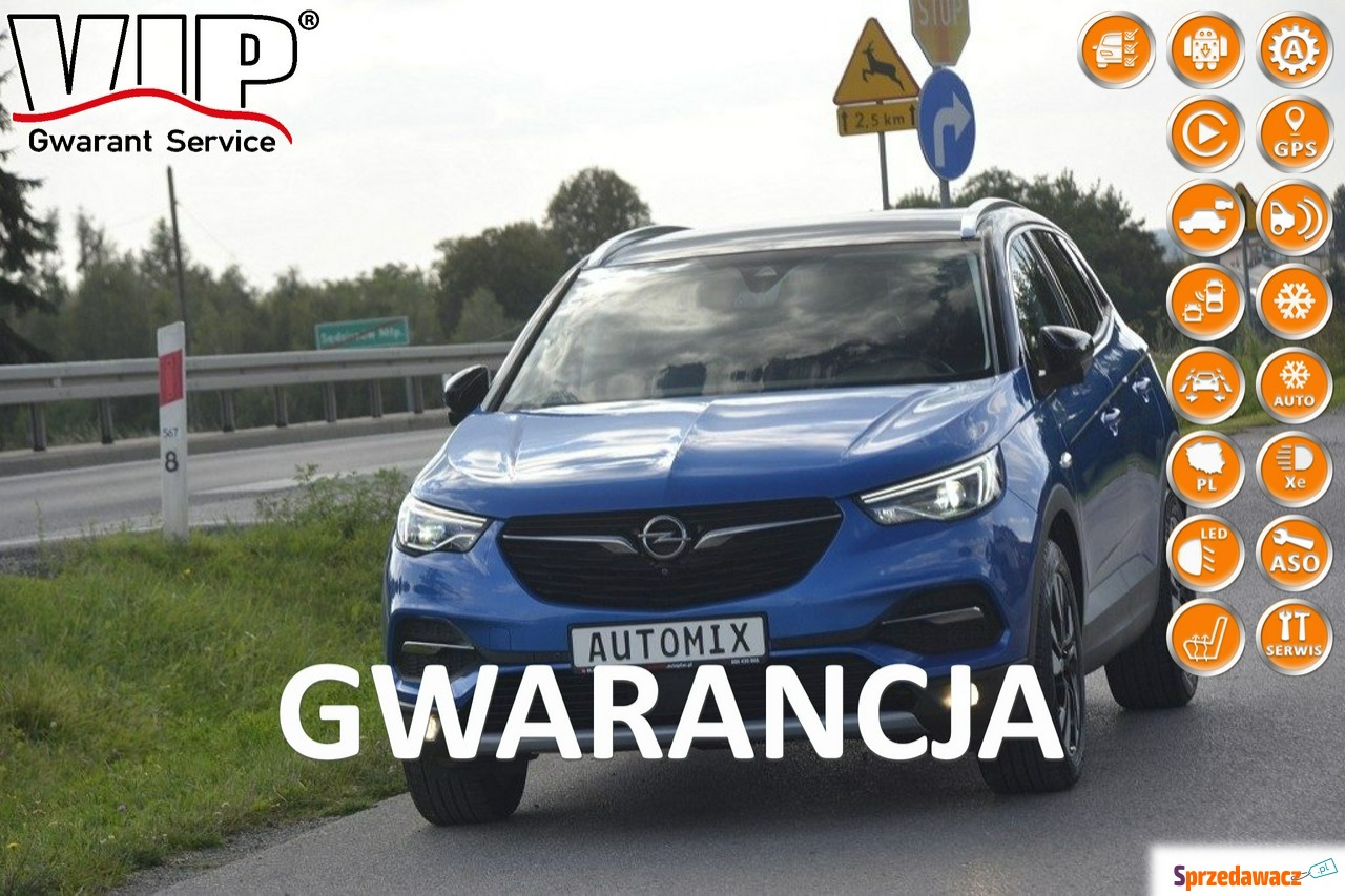 Opel Grandland X 2020