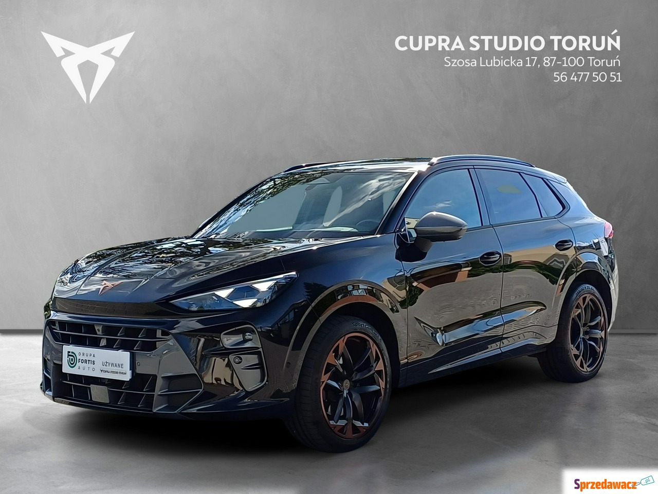Cupra Terramar 2025