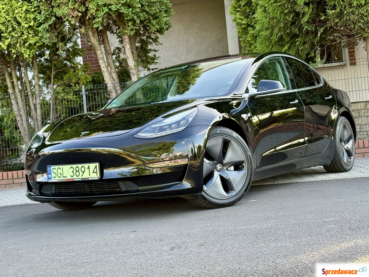 Tesla Model 3 2019