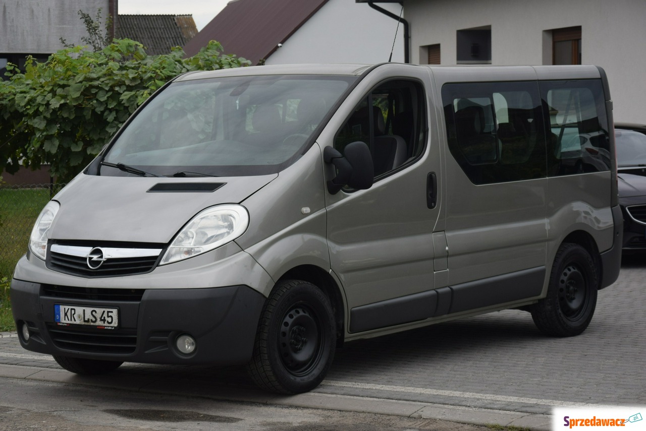 Opel Vivaro 2013