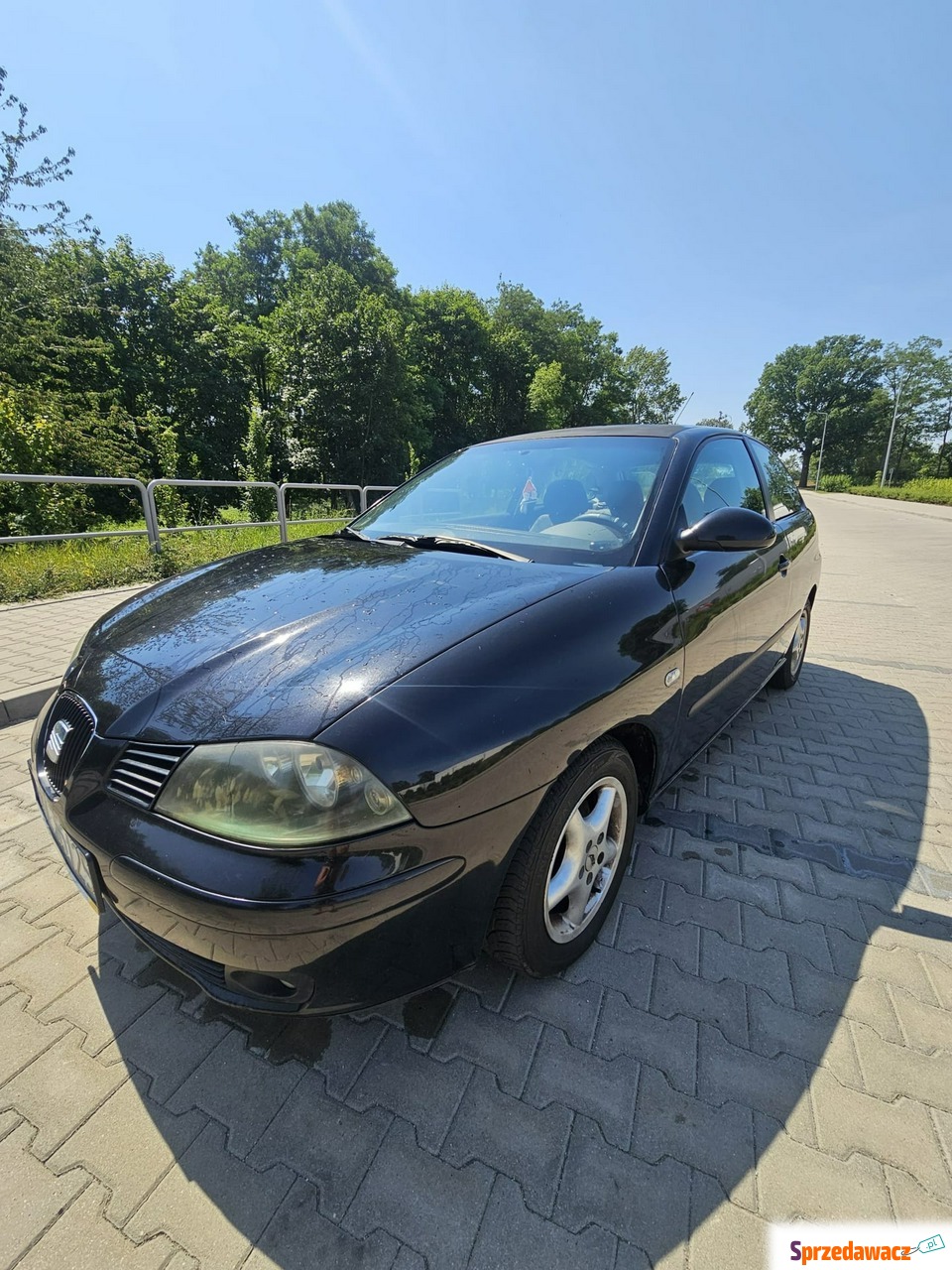 Seat Ibiza 2003