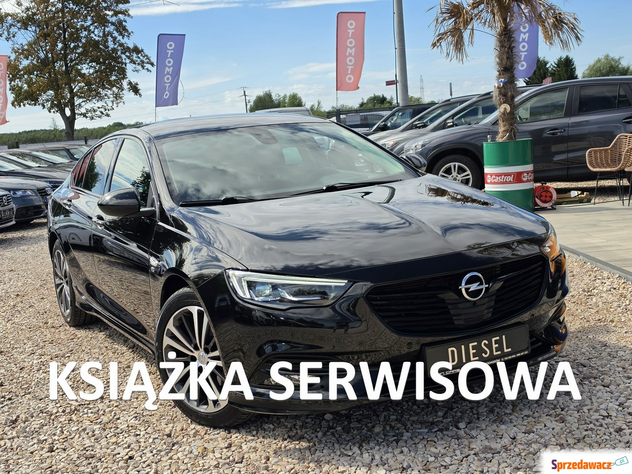 Opel Insignia 2019