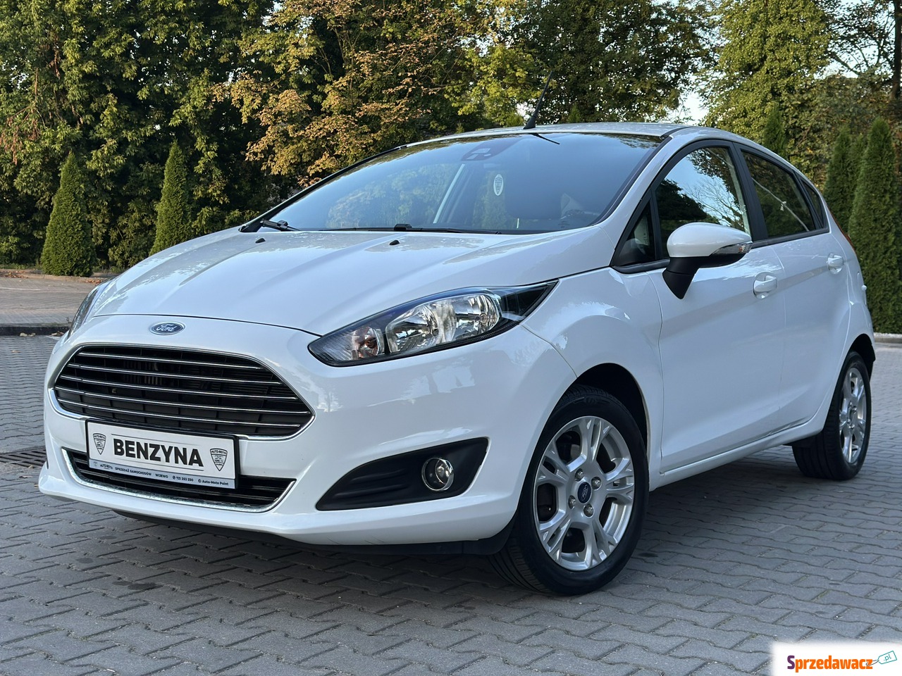 Ford Fiesta 2014