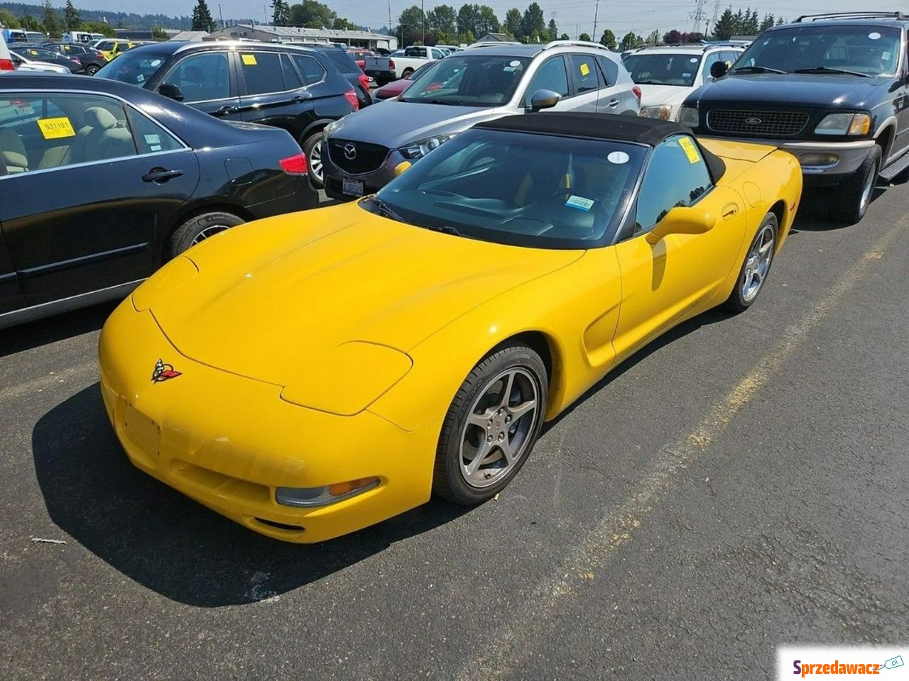 Chevrolet Corvette 2002