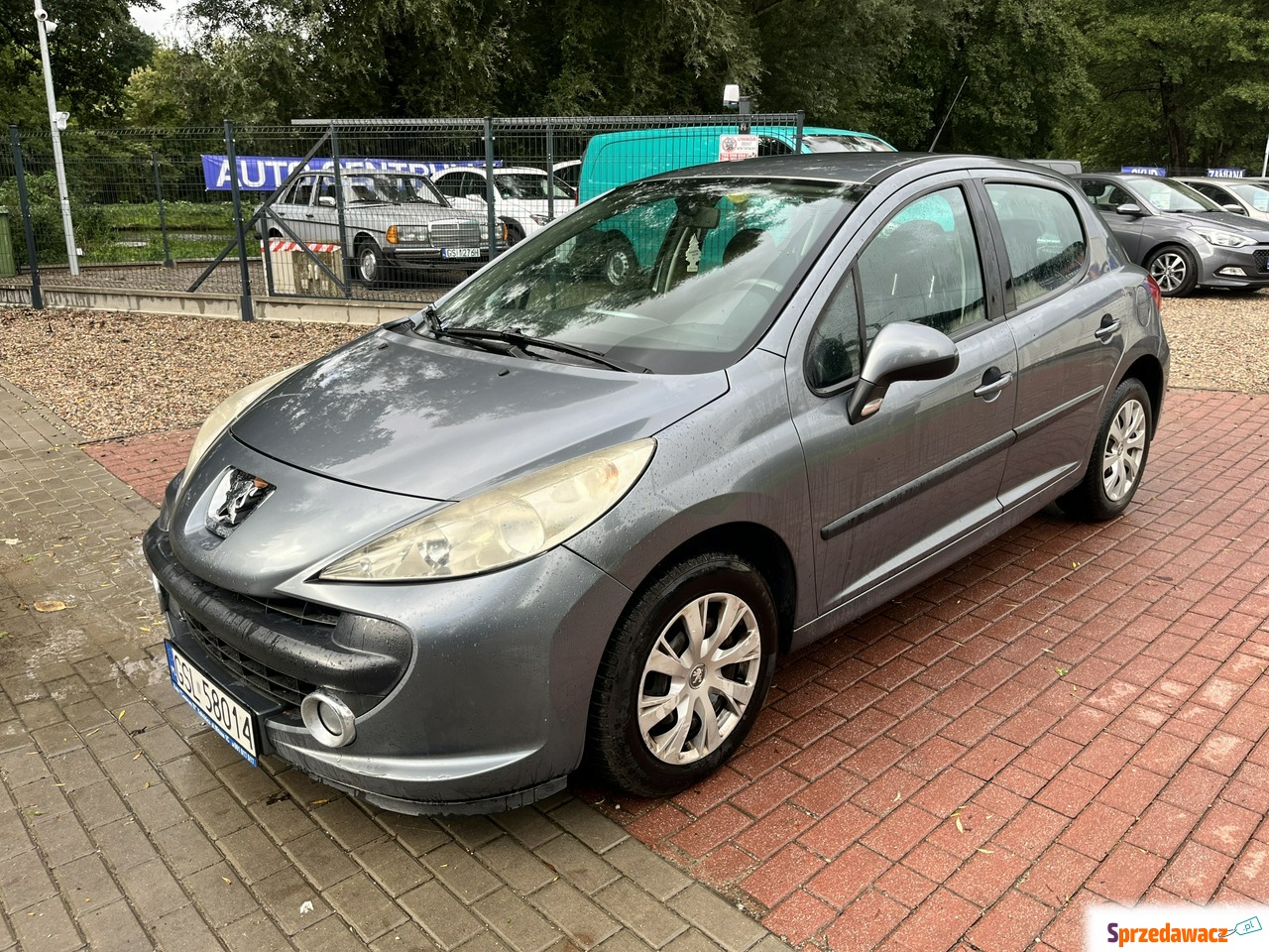 Peugeot 207 2007