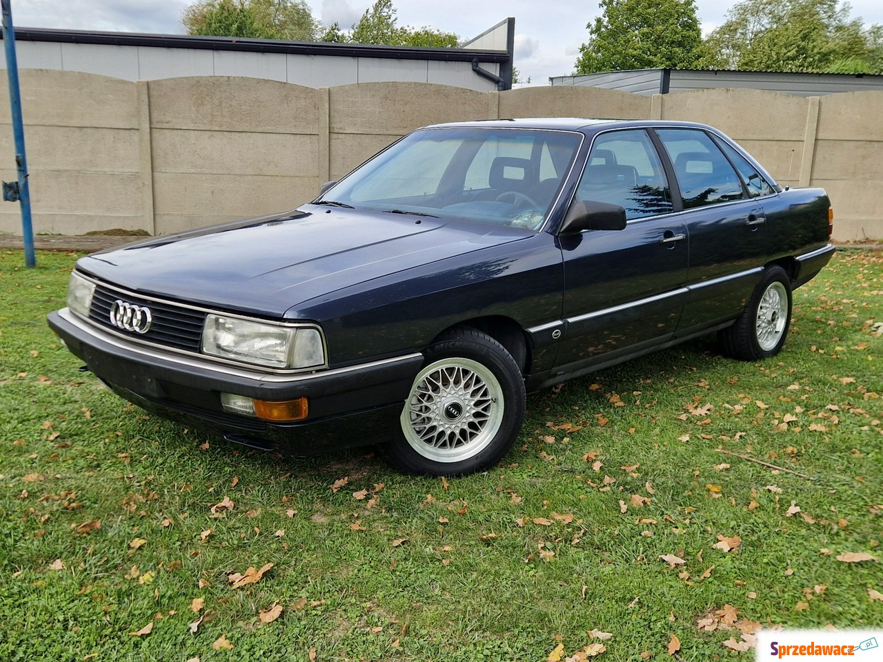 Audi 1986